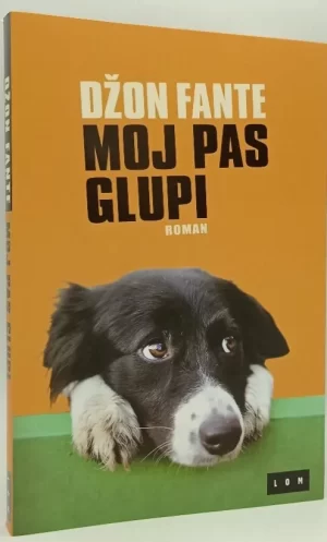 Moj pas glupi